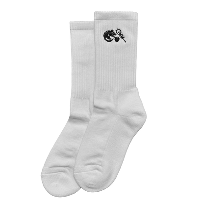 Episode 13 Socks: "Sol Invictus"
